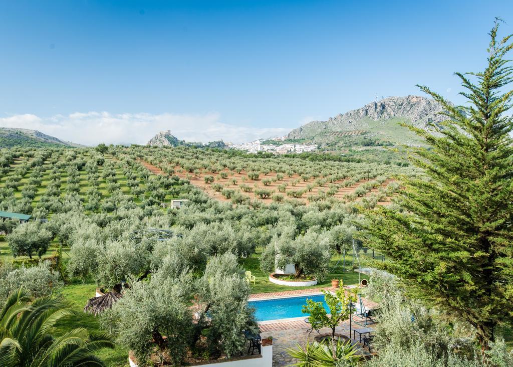 Agroturismo Ecologico El Cortijillo Luque Luaran gambar