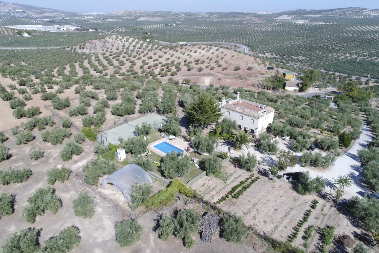 Agroturismo Ecologico El Cortijillo Luque Luaran gambar