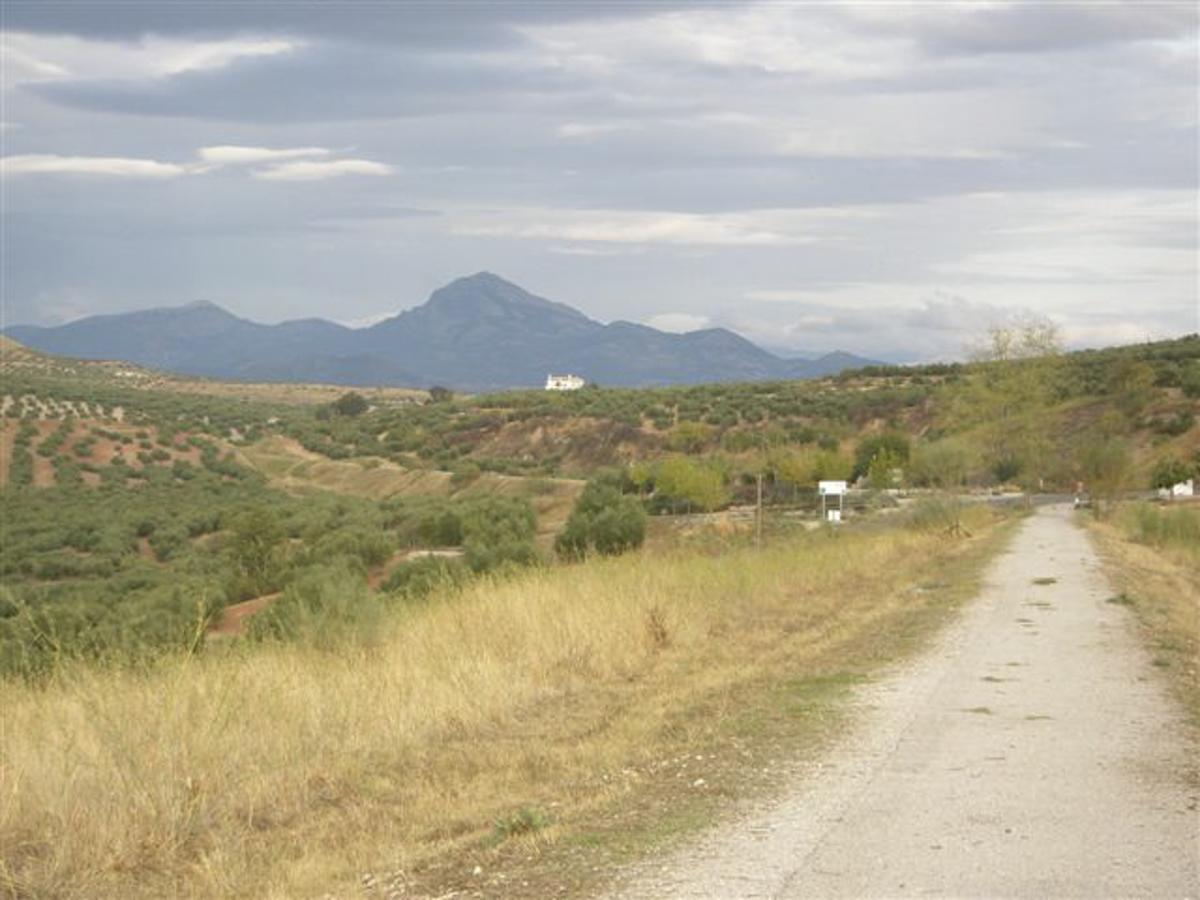 Agroturismo Ecologico El Cortijillo Luque Luaran gambar